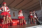 18. Jeckentreff der Stadt-Garde Meckenheim e.V.