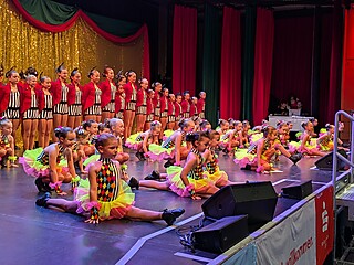 Vereine aus Nah und Fern zeigten ihr Können