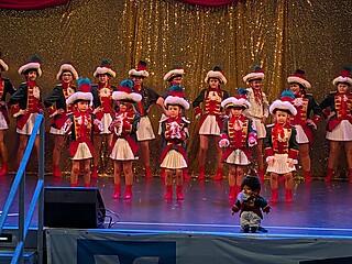 Vereine aus Nah und Fern zeigten ihr Können