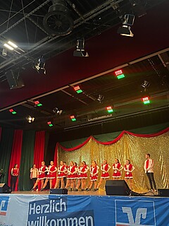 Vereine aus Nah und Fern zeigten ihr Können