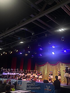 Vereine aus Nah und Fern zeigten ihr Können