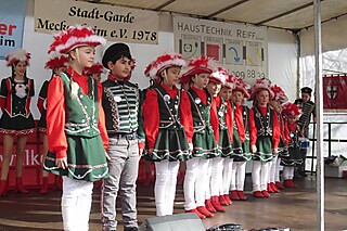 20. Jeckentreff der Stadt-Garde