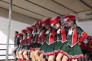 20. Jeckentreff der Stadt-Garde