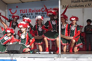 20. Jeckentreff der Stadt-Garde