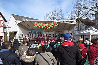 20. Jeckentreff der Stadt-Garde