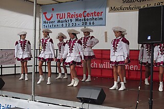 20. Jeckentreff der Stadt-Garde