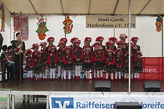 22. Jeckentreff der Stadt-Garde
