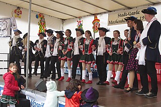 22. Jeckentreff der Stadt-Garde