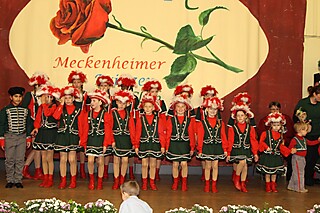 Die ersten Auftritte der Stadt-Garde