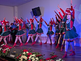 Bilder von den Auftritten der Stadt-Garde, Monat November