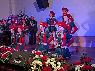 Bilder von den Auftritten der Stadt-Garde, Monat November