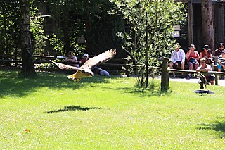 Ein besonderes Sommerfest für die Mitglieder