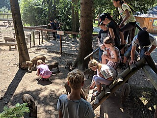 Ein besonderes Sommerfest für die Mitglieder