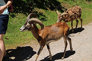 Ein besonderes Sommerfest für die Mitglieder