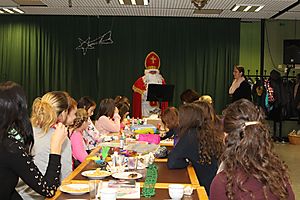 Der Nikolaus besucht die Stadt-Garde